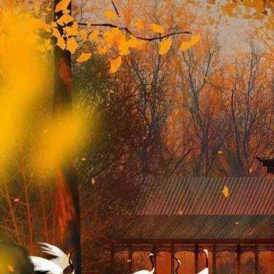 三国战纪老版下载